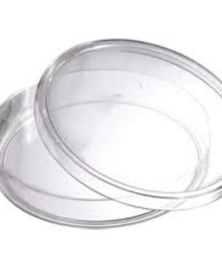 Petri Dishes