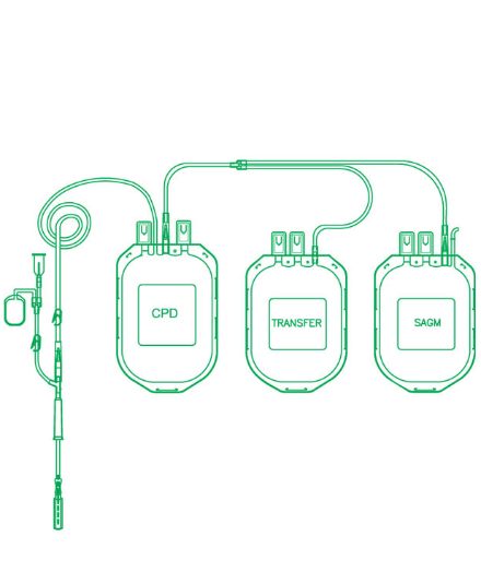 قرب دم ثلاثي